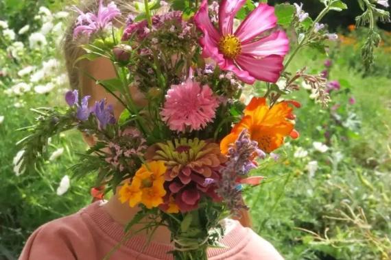 Potions de Mana - Visite du champ