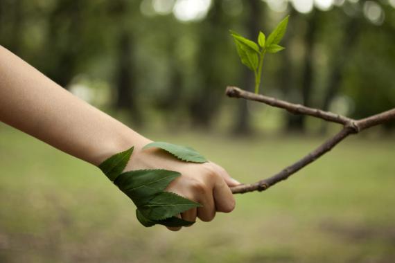 N&P - Portes ouvertes chez Patricia Martin