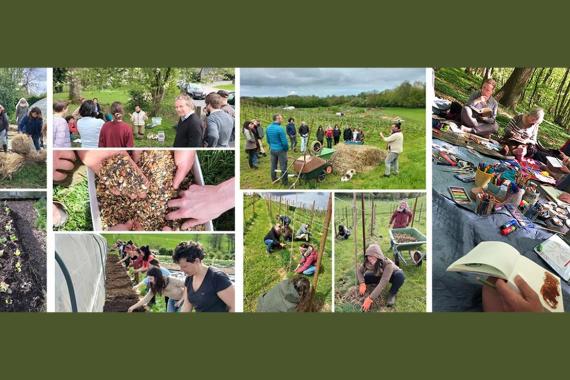 Terre et Conscience - Permaculture