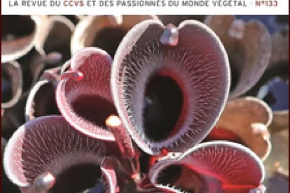 2025-06 - Cov Revue Hommes et Plantes - 133