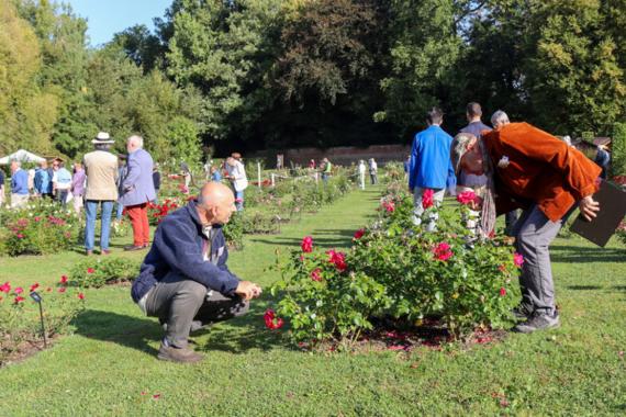 2025 Le Roeulx - Jury international