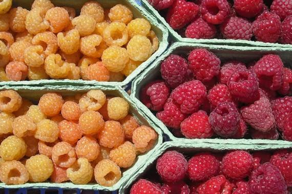 Menet Edouard - Framboises