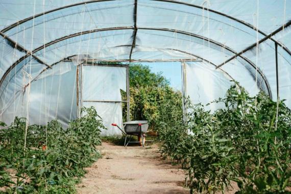 CFAR - Creation  potager - Formation