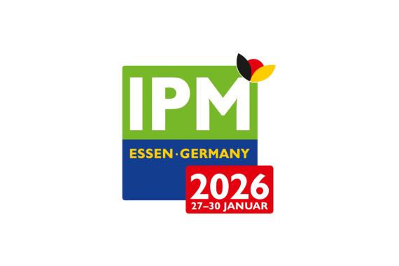 IPM 2026 - Logo