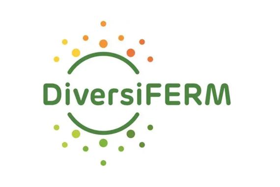DiversiFERM - Logo