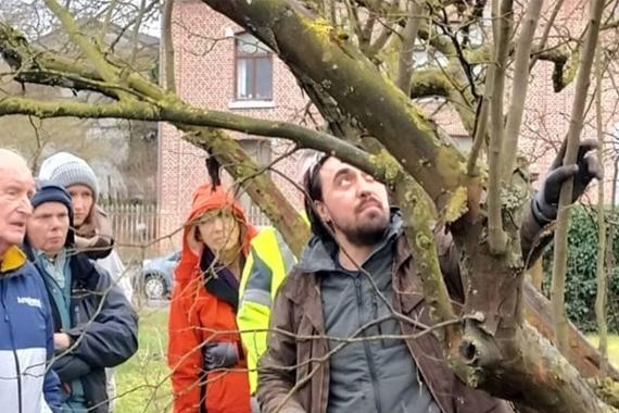 Traversine - Ateliers - Arbres fruitiers