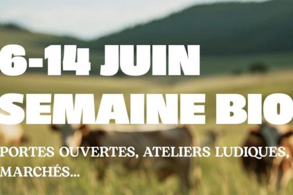 2026 Semaine Bio - amour