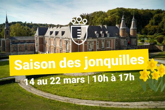 Aiseau-Presles - Saison des jonquilles parc chateau