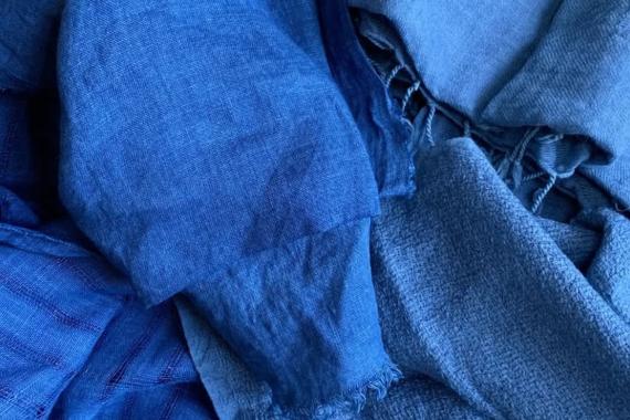 Gabriel Beaulieu - Indigo - Persicaria tinctoria