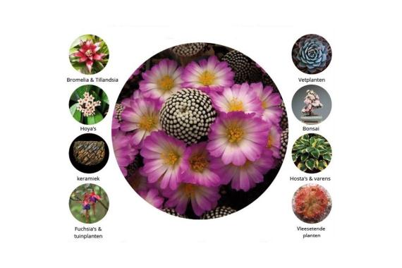 2026 Cactus et plantes succulents - Bourse Wijnegem