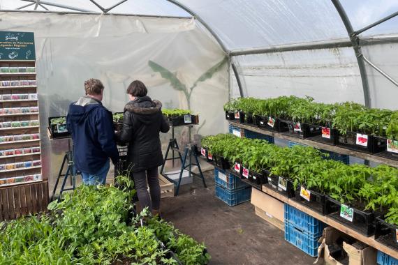 Ferme de la Préale - Vente de plants BIO