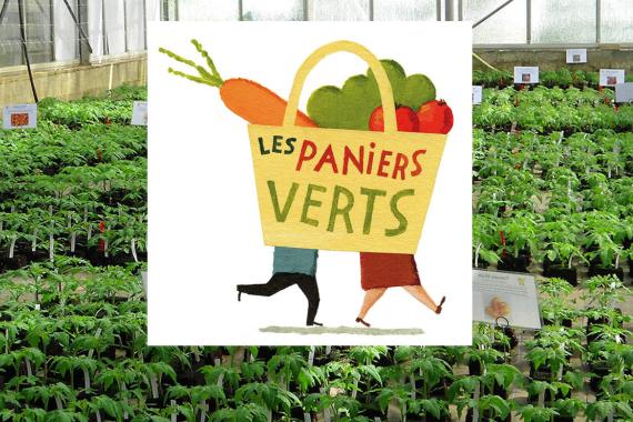 Paniers verts - vente de plants