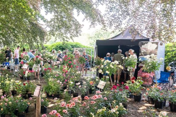 Rivierenhof - Festival de la rose