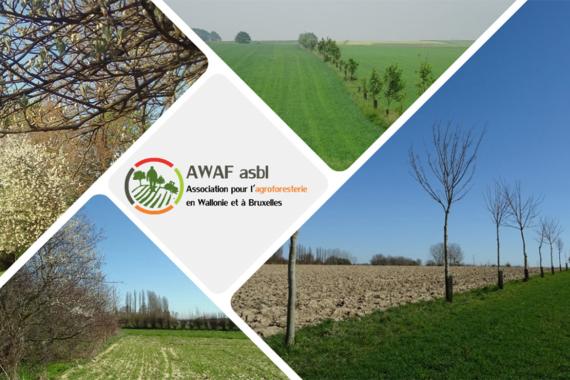 AWAF - Formation