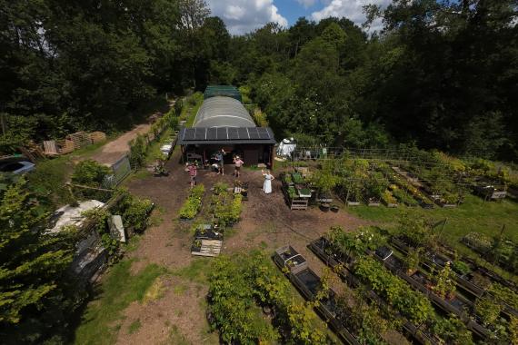 Bois de Rode Bos - PO - Vue aerienne