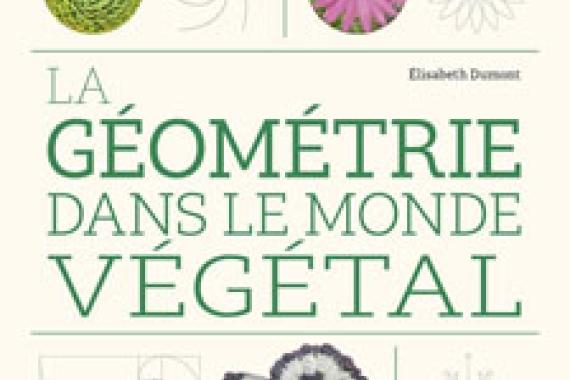 2026-05-13 - Cov Geometrie vegetale - Ulmer