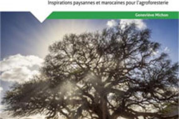 2025-05-29 - Cov face aridite - puissance arbre