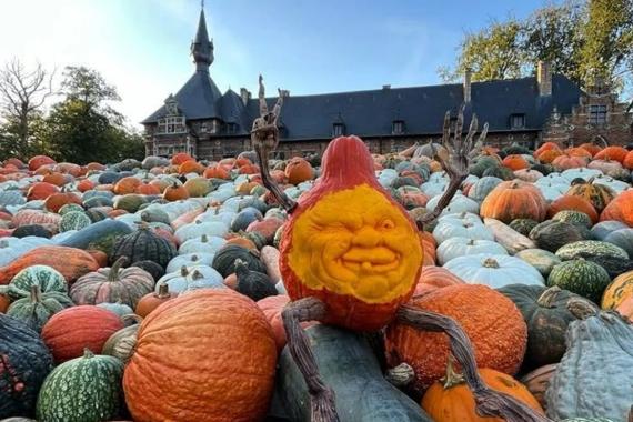 Pumpkimania - Grand-Bigard