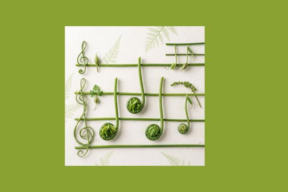 Musique des plantes - illustration