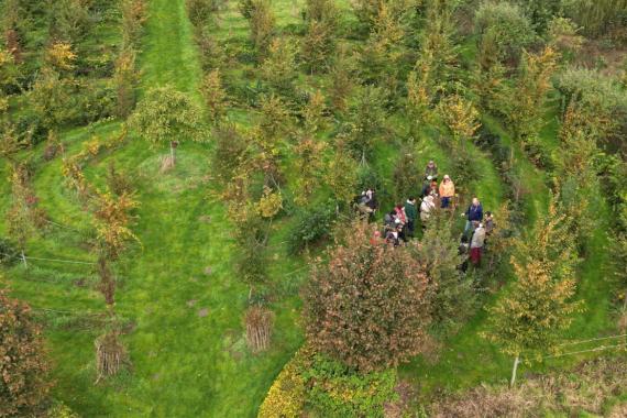 Semisto - jardin foret Naninne